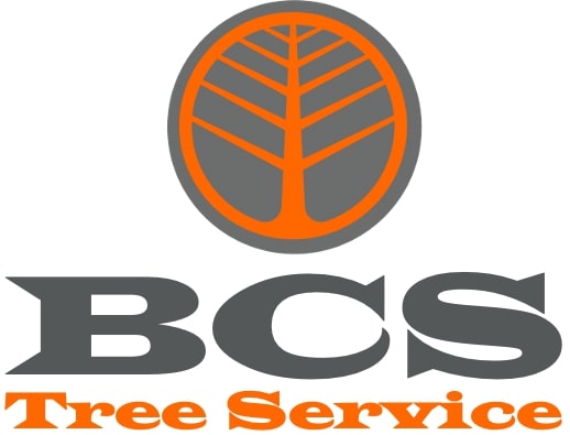 BCS Tree Service Logo
